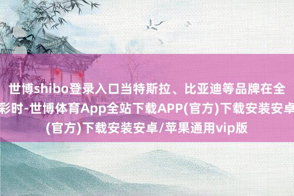 世博shibo登录入口当特斯拉、比亚迪等品牌在全球商场上大放异彩时-世博体育App全站下载APP(官方)下载安装安卓/苹果通用vip版