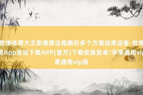 世博体育大王影像算法粗略在多个方面结束迫害-世博体育App全站下载APP(官方)下载安装安卓/苹果通用vip版