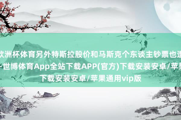 欧洲杯体育另外特斯拉股价和马斯克个东谈主钞票也遭受双重危险-世博体育App全站下载APP(官方)下载安装安卓/苹果通用vip版