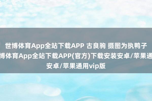 世博体育App全站下载APP 古良驹 摄图为执鸭子现场-世博体育App全站下载APP(官方)下载安装安卓/苹果通用vip版