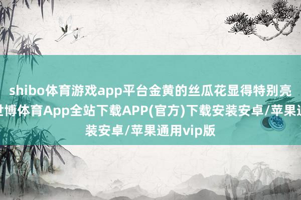 shibo体育游戏app平台金黄的丝瓜花显得特别亮丽瞩目-世博体育App全站下载APP(官方)下载安装安卓/苹果通用vip版