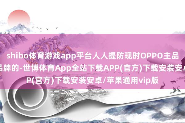 shibo体育游戏app平台人人提防现时OPPO主品牌是越过vivo主品牌的-世博体育App全站下载APP(官方)下载安装安卓/苹果通用vip版